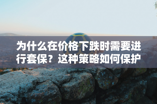 为什么在价格下跌时需要进行套保？这种策略如何保护投资者的利益？