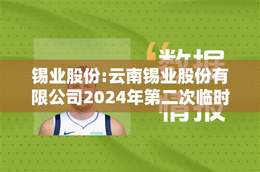 锡业股份:云南锡业股份有限公司2024年第二次临时股东大会决议公告