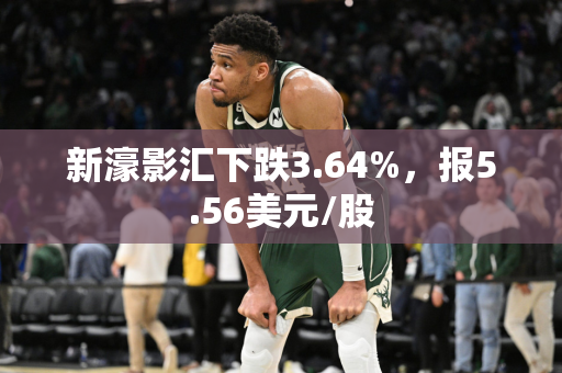 新濠影汇下跌3.64%，报5.56美元/股