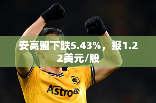 安高盟下跌5.43%，报1.22美元/股