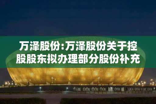 万泽股份:万泽股份关于控股股东拟办理部分股份补充担保及信托登记的提示性公告