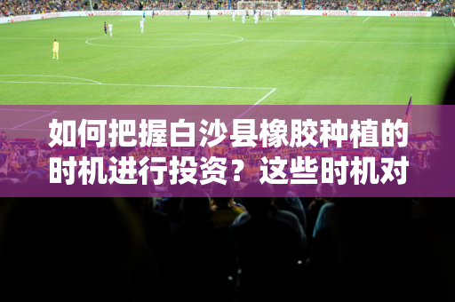 如何把握白沙县橡胶种植的时机进行投资？这些时机对市场有何影响？