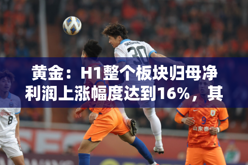 黄金：H1整个板块归母净利润上涨幅度达到16%，其中Q2环比提升16%，同比提升32%