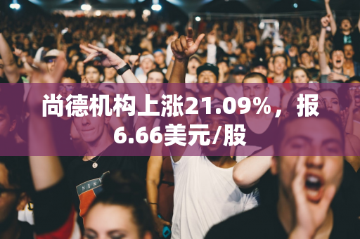 尚德机构上涨21.09%，报6.66美元/股