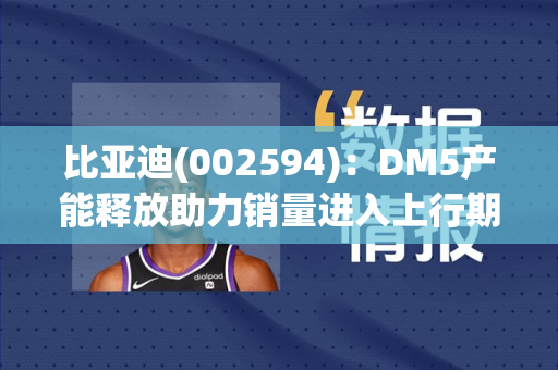 比亚迪(002594)：DM5产能释放助力销量进入上行期 8月销量同环比提升