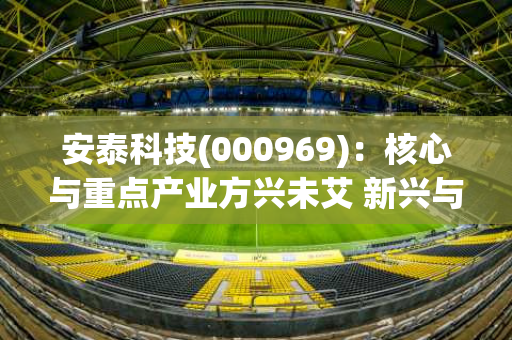 安泰科技(000969)：核心与重点产业方兴未艾 新兴与前沿领域锦绣前程