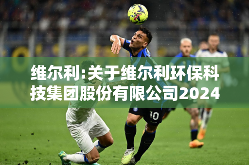 维尔利:关于维尔利环保科技集团股份有限公司2024年第四次临时股东大会的法律意见书