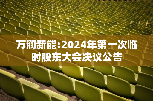 万润新能:2024年第一次临时股东大会决议公告