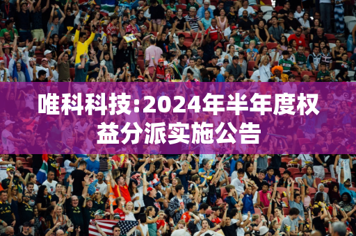 唯科科技:2024年半年度权益分派实施公告