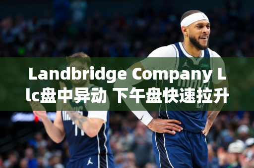 Landbridge Company Llc盘中异动 下午盘快速拉升5.14%报39.79美元