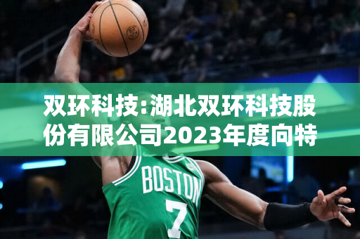 双环科技:湖北双环科技股份有限公司2023年度向特定对象发行A股股票募集说明书（修订稿）