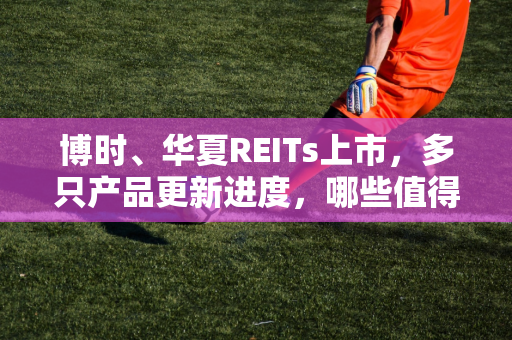 博时、华夏REITs上市，多只产品更新进度，哪些值得买？