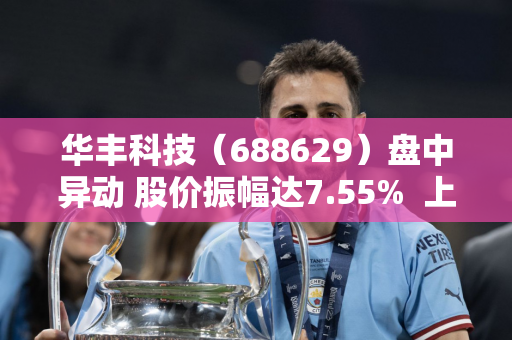 华丰科技（688629）盘中异动 股价振幅达7.55%  上涨6.93%（09-20）