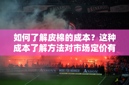 如何了解皮棉的成本？这种成本了解方法对市场定价有何影响？