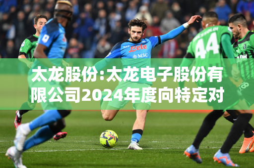 太龙股份:太龙电子股份有限公司2024年度向特定对象发行A股股票募集资金使用可行性分析报告（修订稿）