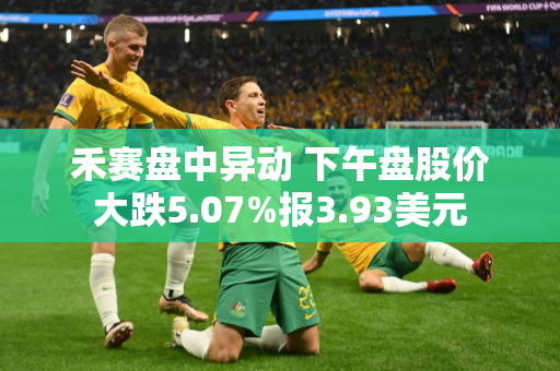 禾赛盘中异动 下午盘股价大跌5.07%报3.93美元